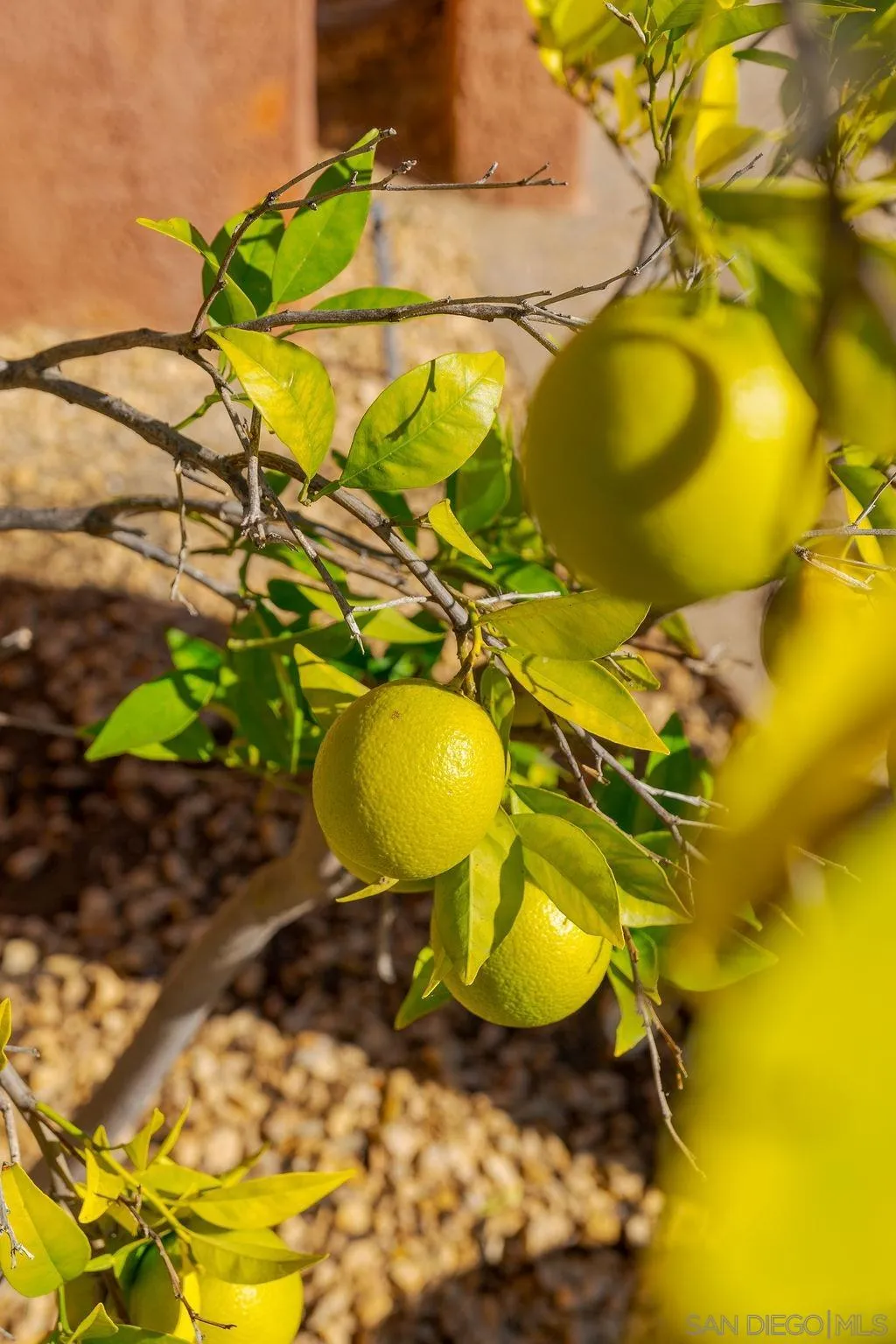 197 Double Eagle Glen Escondido, CA 92026 - Photo 68 of 70 a view of a swimming pool in front of house