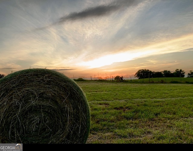360 Morgan Mill Road Brooks, GA 30205 - Photo 59 of 87