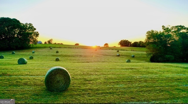 360 Morgan Mill Road Brooks, GA 30205 - Photo 7 of 87