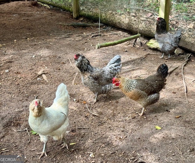360 Morgan Mill Road Brooks, GA 30205 - Photo 72 of 87 a backyard of a house with table and chairs