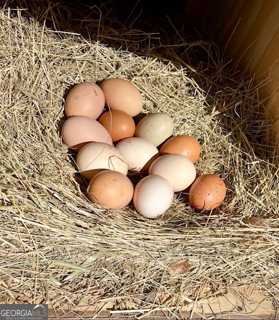 360 Morgan Mill Road Brooks, GA 30205 - Photo 73 of 87