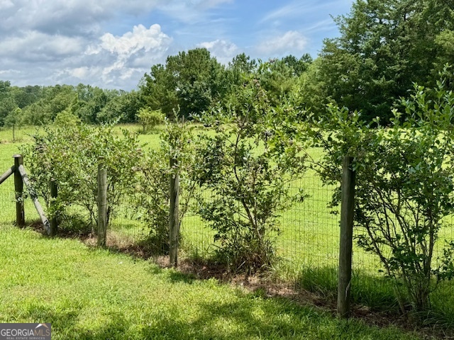 360 Morgan Mill Road Brooks, GA 30205 - Photo 74 of 87