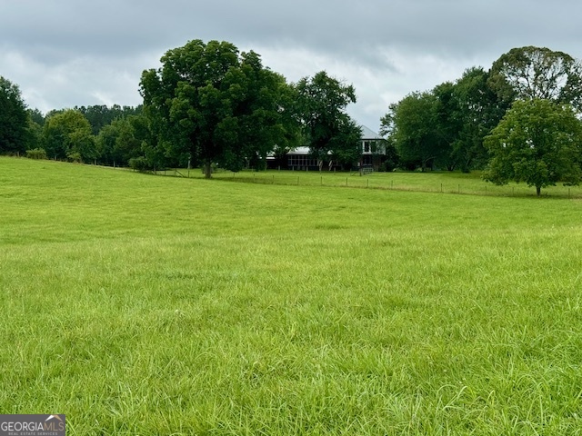 360 Morgan Mill Road Brooks, GA 30205 - Photo 78 of 87 a view of a green field with trees in the background