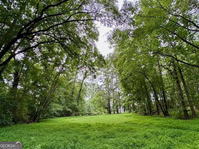 360 Morgan Mill Road Brooks, GA 30205 - Photo 79 of 87