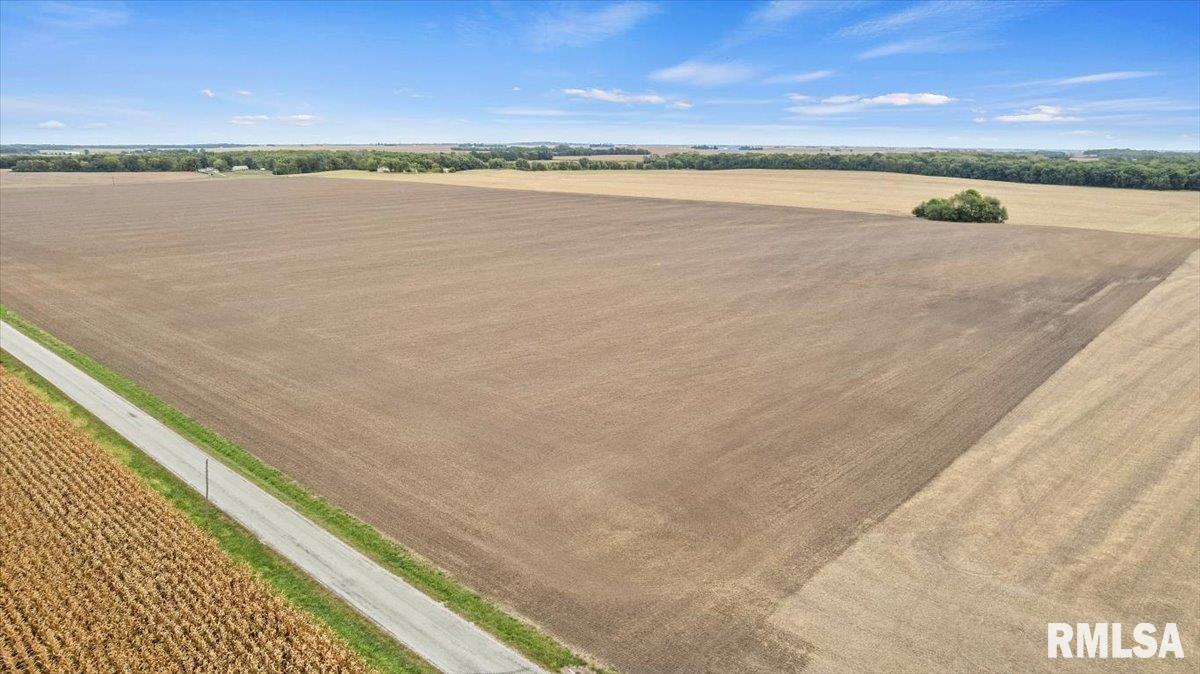 2437 North 1030 East Road Edinburg, IL 62531 - Photo 11 of 18