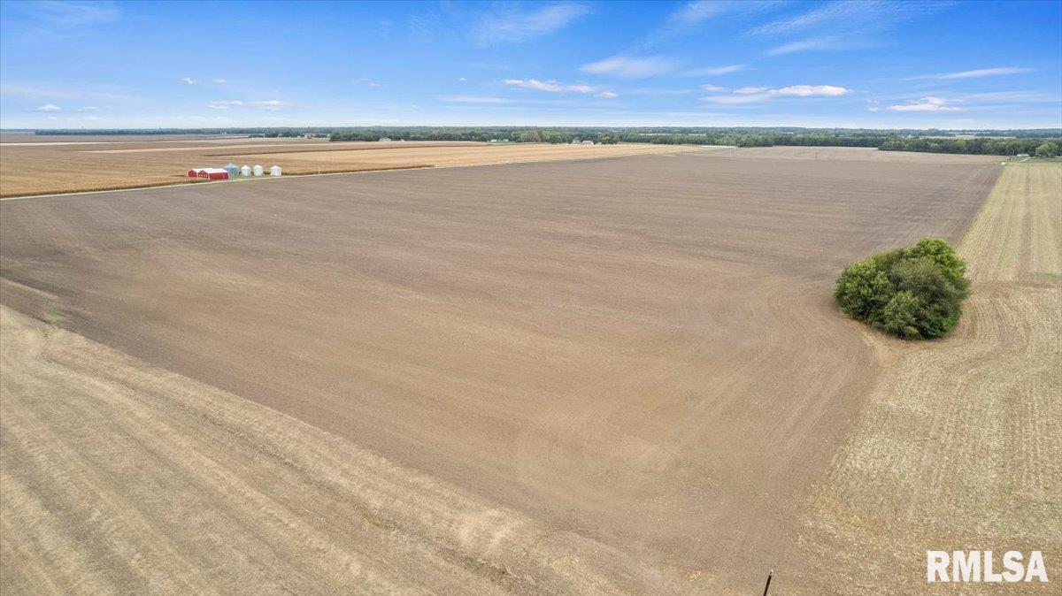 2437 North 1030 East Road Edinburg, IL 62531 - Photo 12 of 18