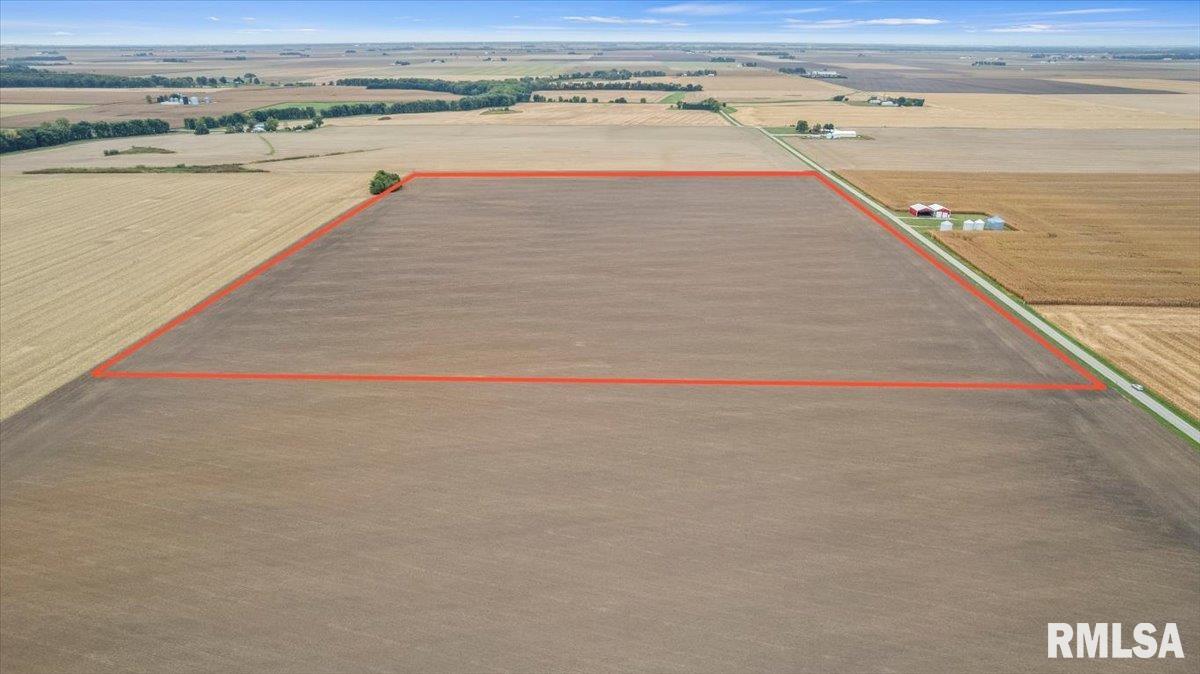 2437 North 1030 East Road Edinburg, IL 62531 - Photo 4 of 18