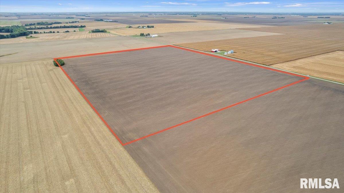 2437 North 1030 East Road Edinburg, IL 62531 - Photo 5 of 18