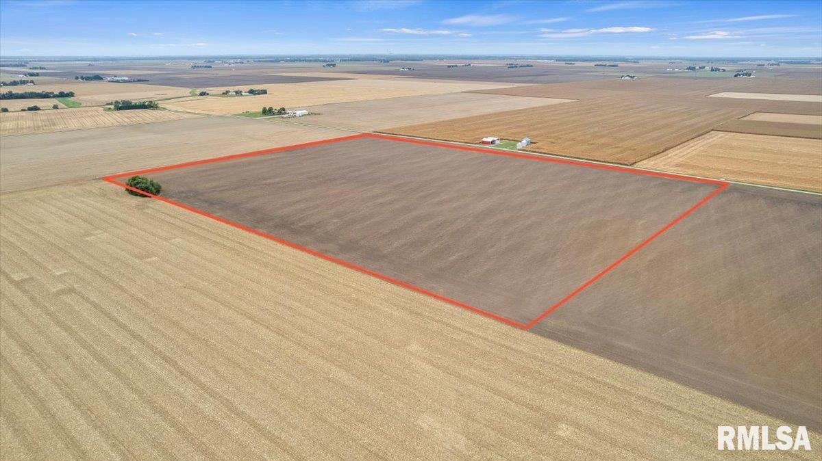 2437 North 1030 East Road Edinburg, IL 62531 - Photo 6 of 18