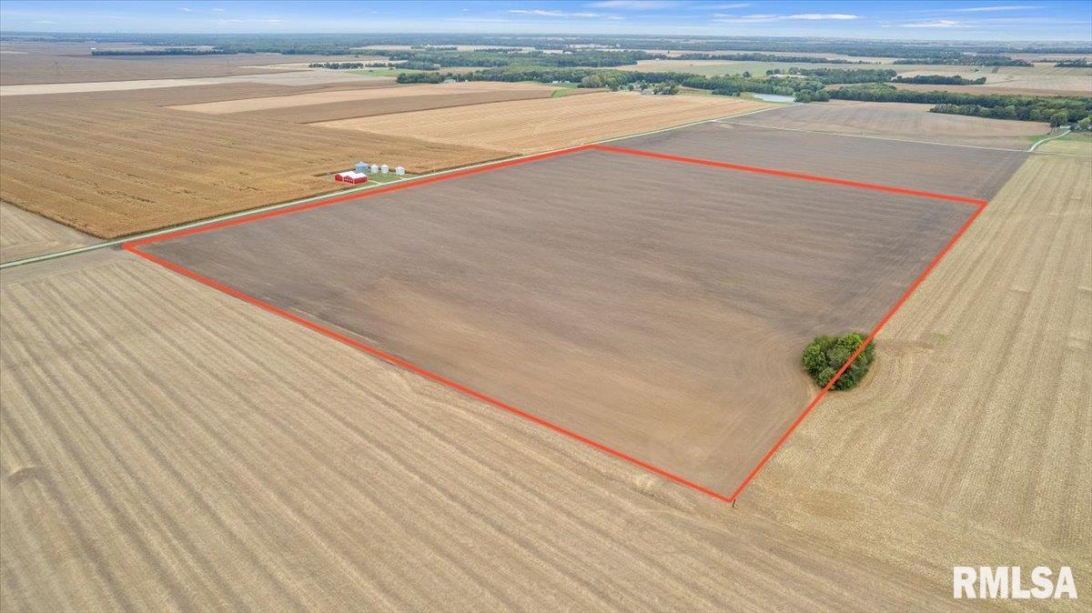 2437 North 1030 East Road Edinburg, IL 62531 - Photo 7 of 18