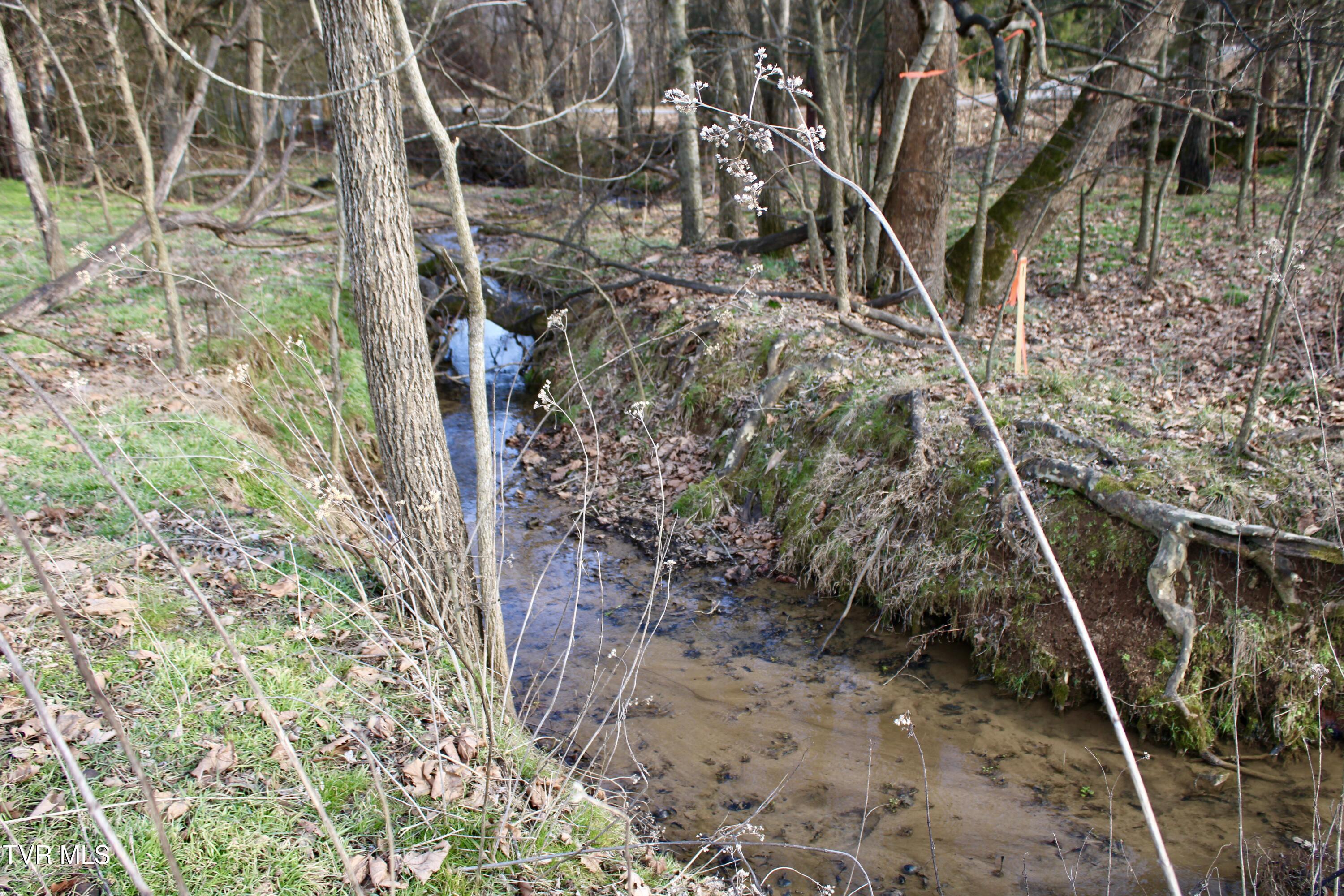 5517 Poplar Springs Road Greeneville, TN 37743 - Photo 40 of 50 IMG_0210