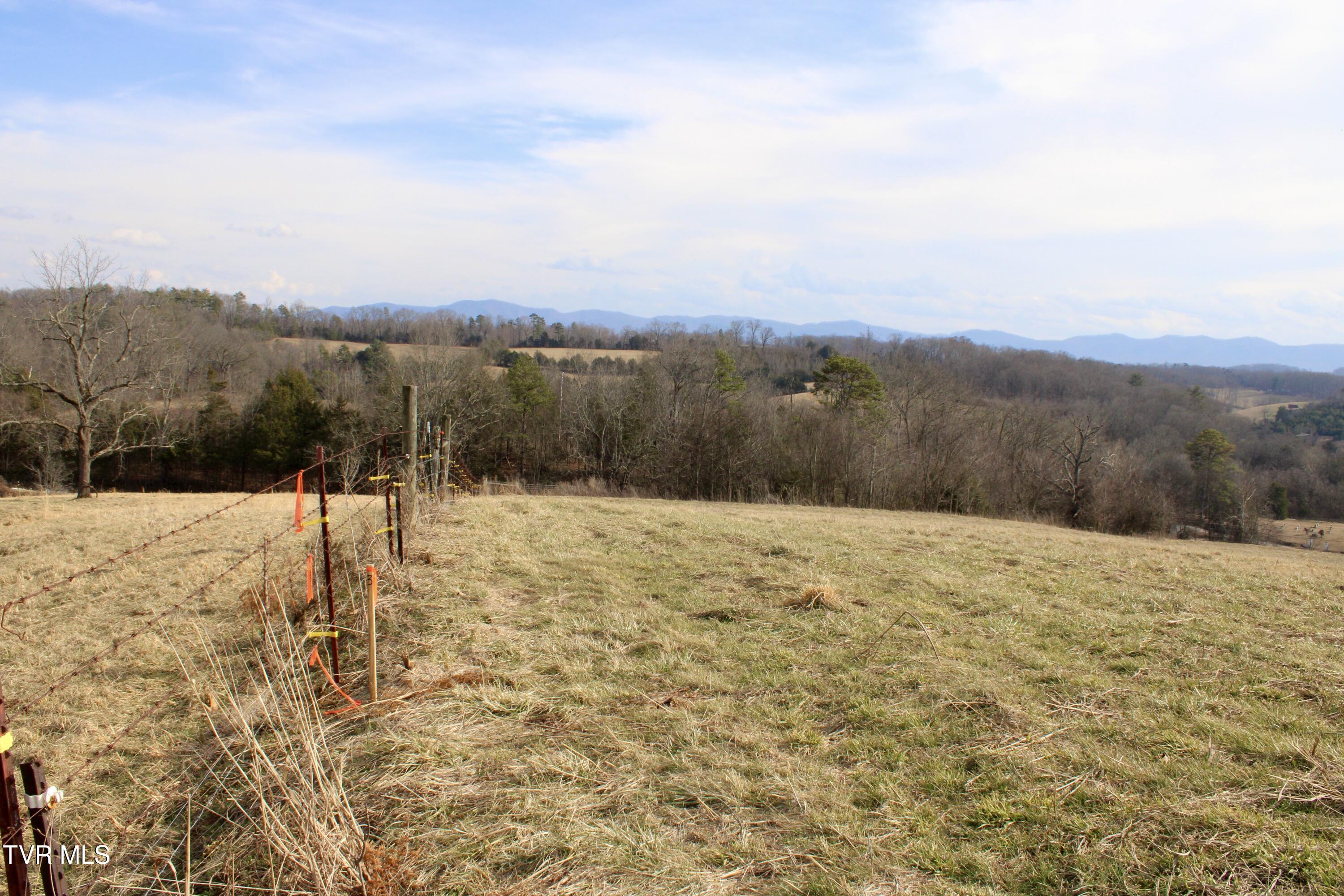 5517 Poplar Springs Road Greeneville, TN 37743 - Photo 42 of 50 IMG_0174