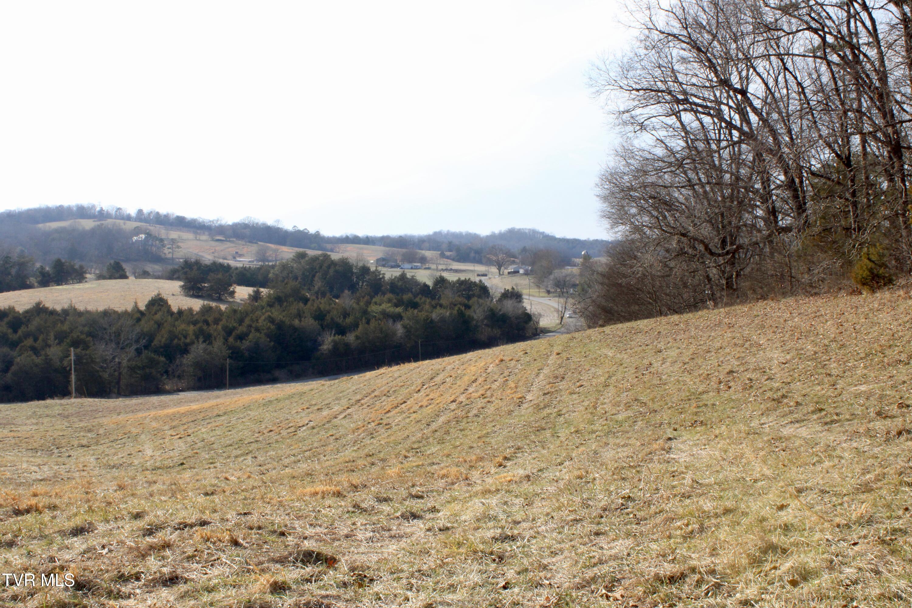 5517 Poplar Springs Road Greeneville, TN 37743 - Photo 43 of 50 IMG_0185