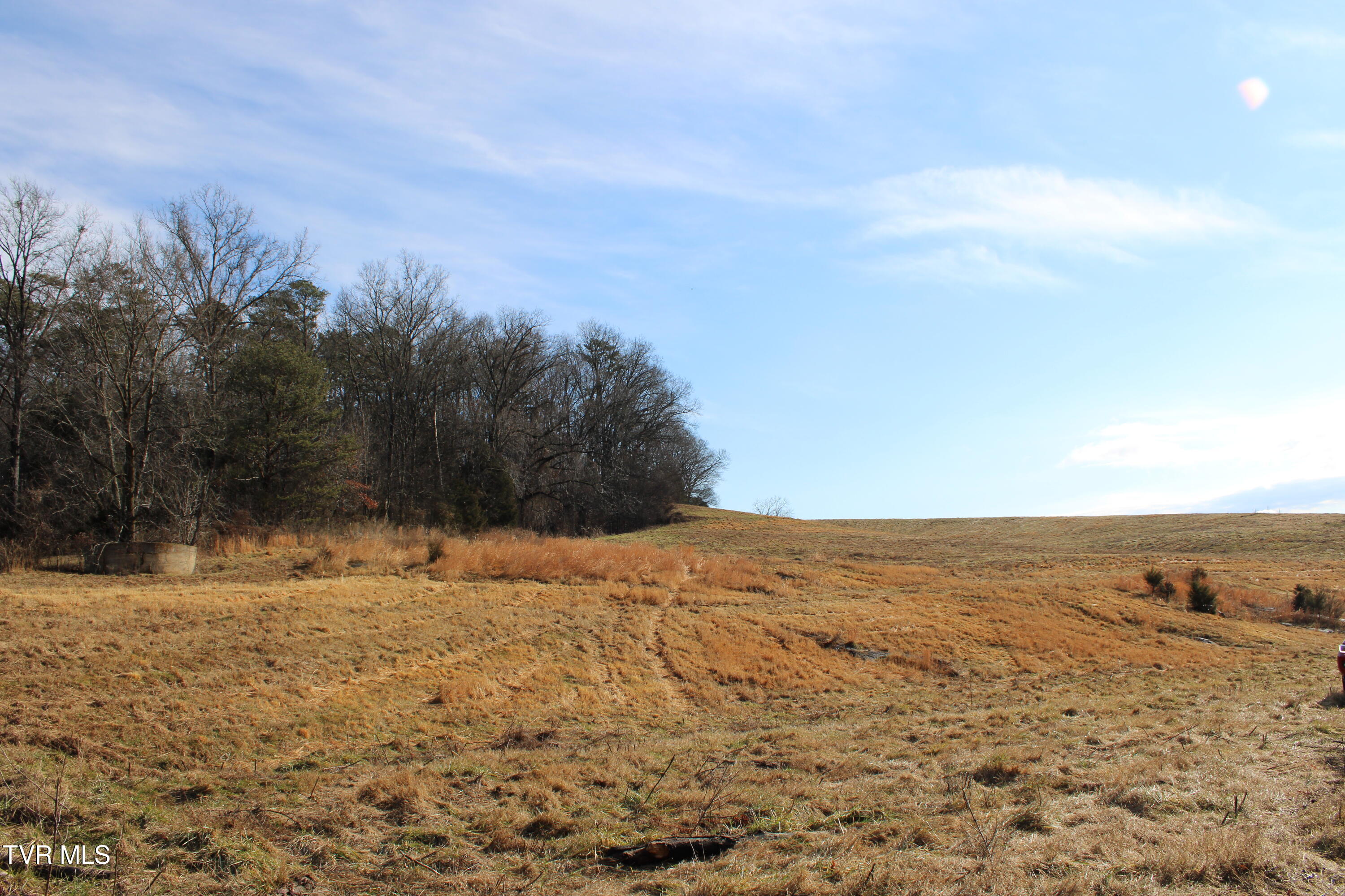 5517 Poplar Springs Road Greeneville, TN 37743 - Photo 48 of 50 IMG_0324