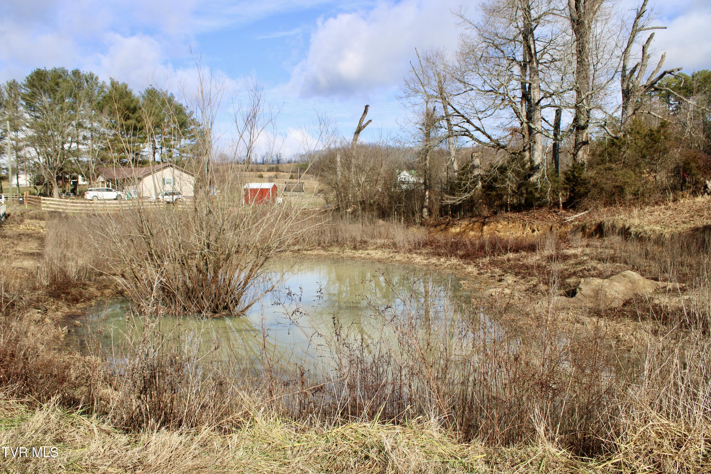 5517 Poplar Springs Road Greeneville, TN 37743 - Photo 10 of 50 IMG_0322