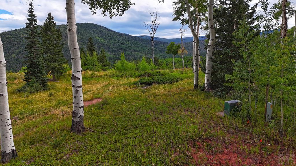 Tbd Baker Creek Road La Veta, CO 81055 - Photo 1 of 13