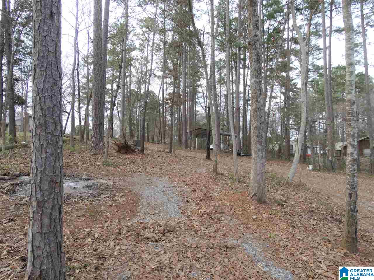 235 Rabbit Point Road Cropwell, AL 35054 - Photo 40 of 40