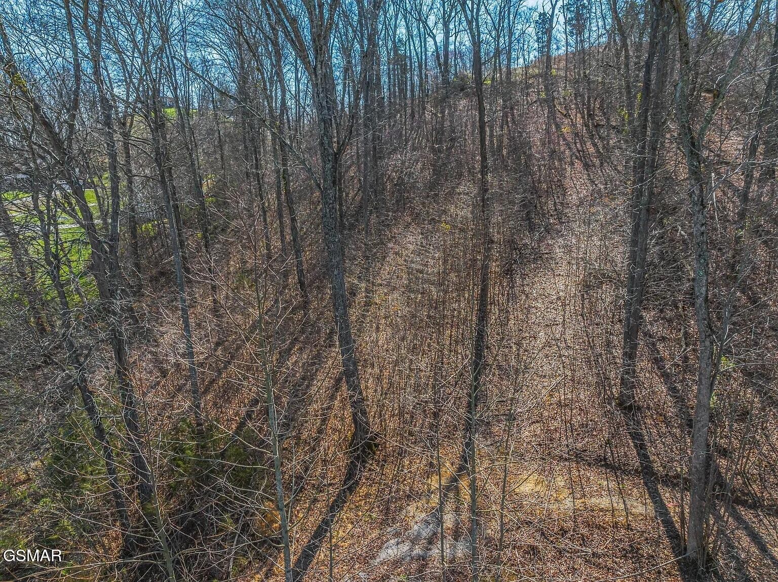 93 Nina Road White Pine, TN 37890 - Photo 9 of 12 Gallery Image 9