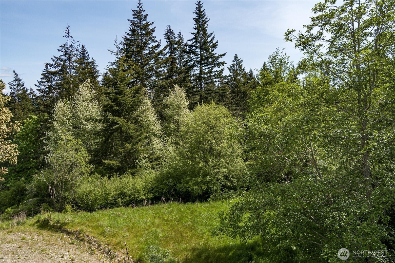 0 South Pheasant Run Road Coupeville, WA 98239 - Photo 11 of 14 Gallery Image 11
