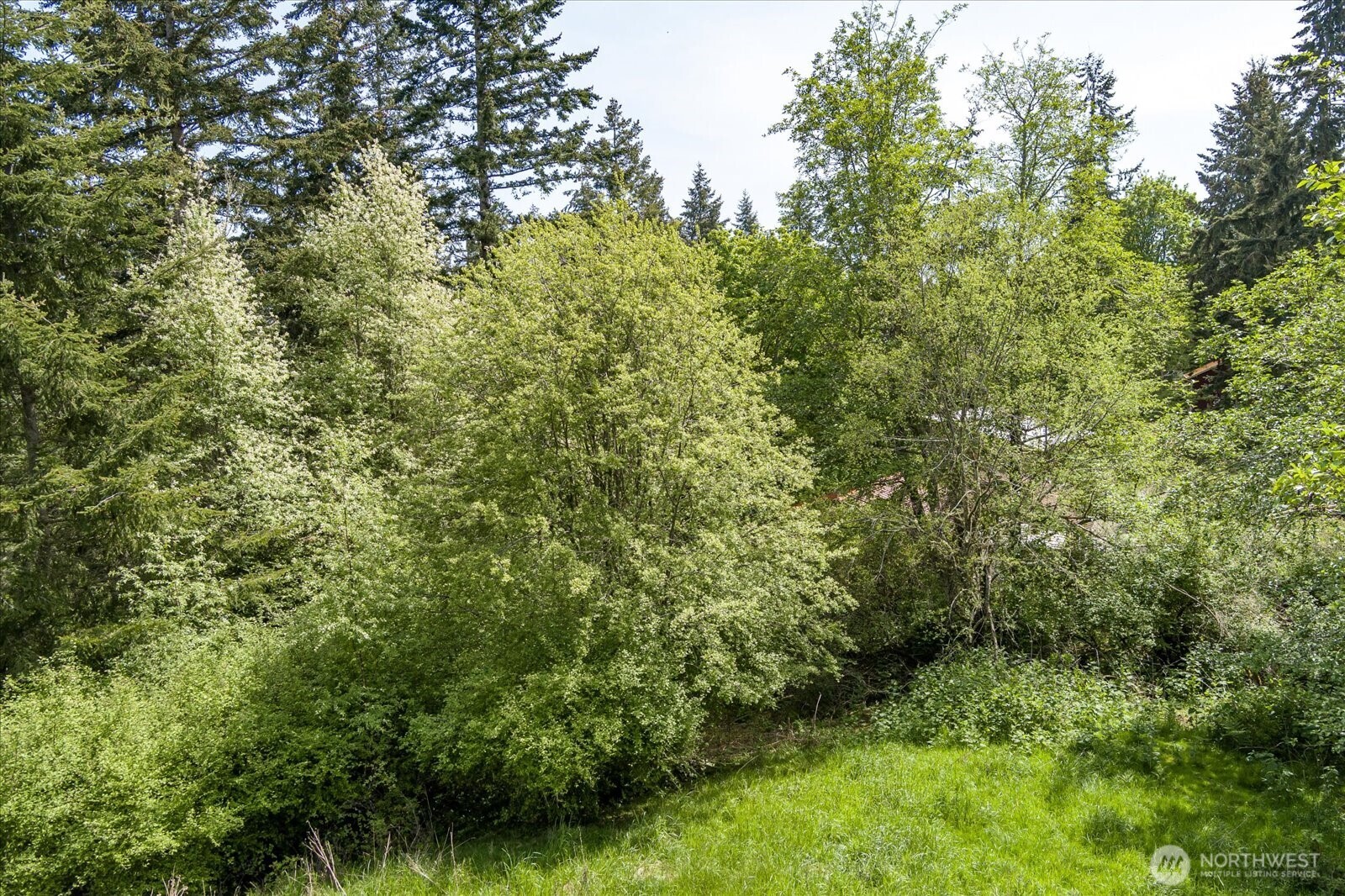 0 South Pheasant Run Road Coupeville, WA 98239 - Photo 12 of 14 Gallery Image 12