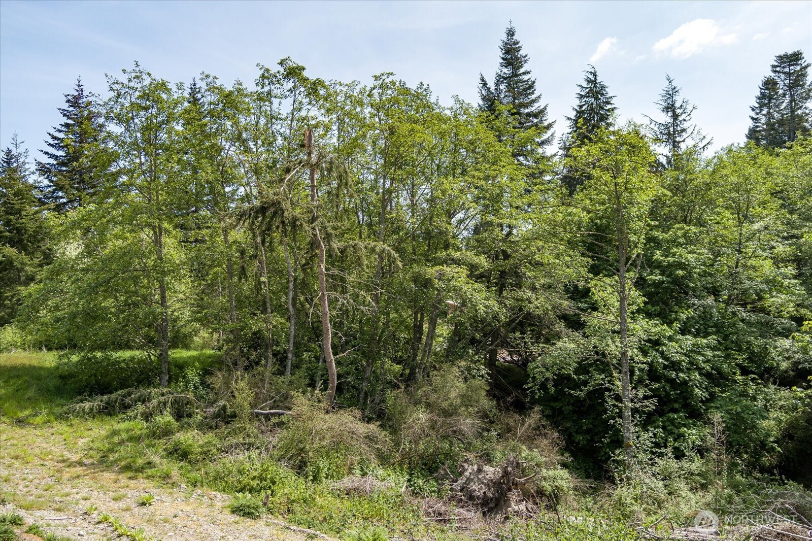 0 South Pheasant Run Road Coupeville, WA 98239 - Photo 14 of 14 Gallery Image 14