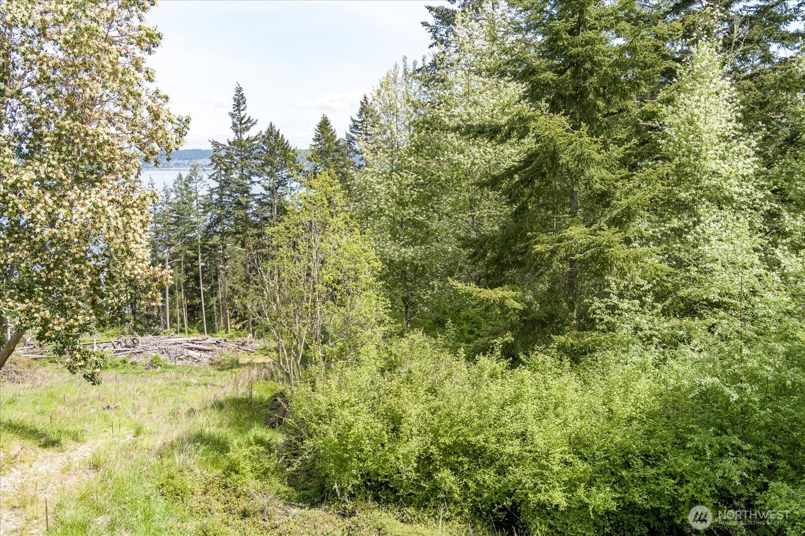 0 South Pheasant Run Road Coupeville, WA 98239 - Photo 8 of 14 Gallery Image 8