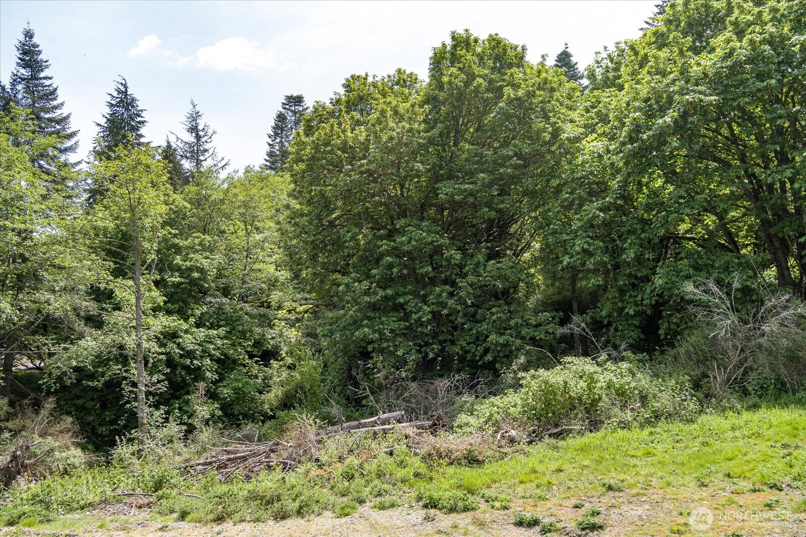 0 South Pheasant Run Road Coupeville, WA 98239 - Photo 9 of 14 Gallery Image 9