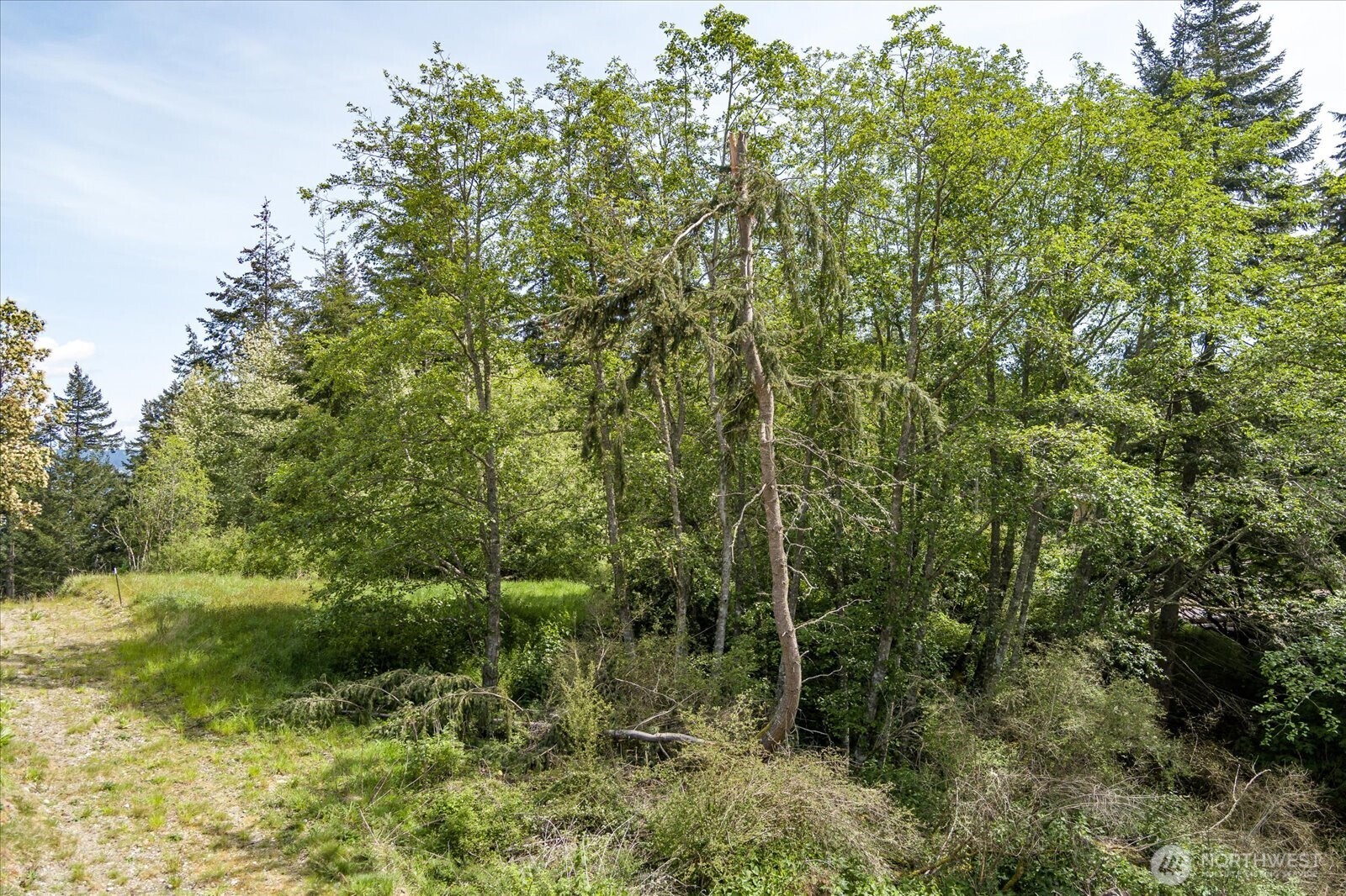 0 South Pheasant Run Road Coupeville, WA 98239 - Photo 10 of 14 Gallery Image 10