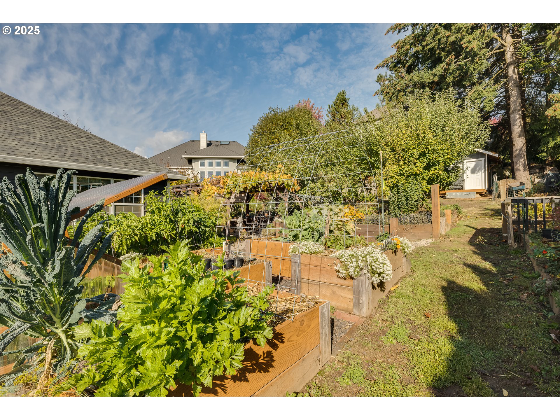 393 Meadow View Road Forest Grove, OR 97116 - Photo 10 of 44 Gallery Image 10