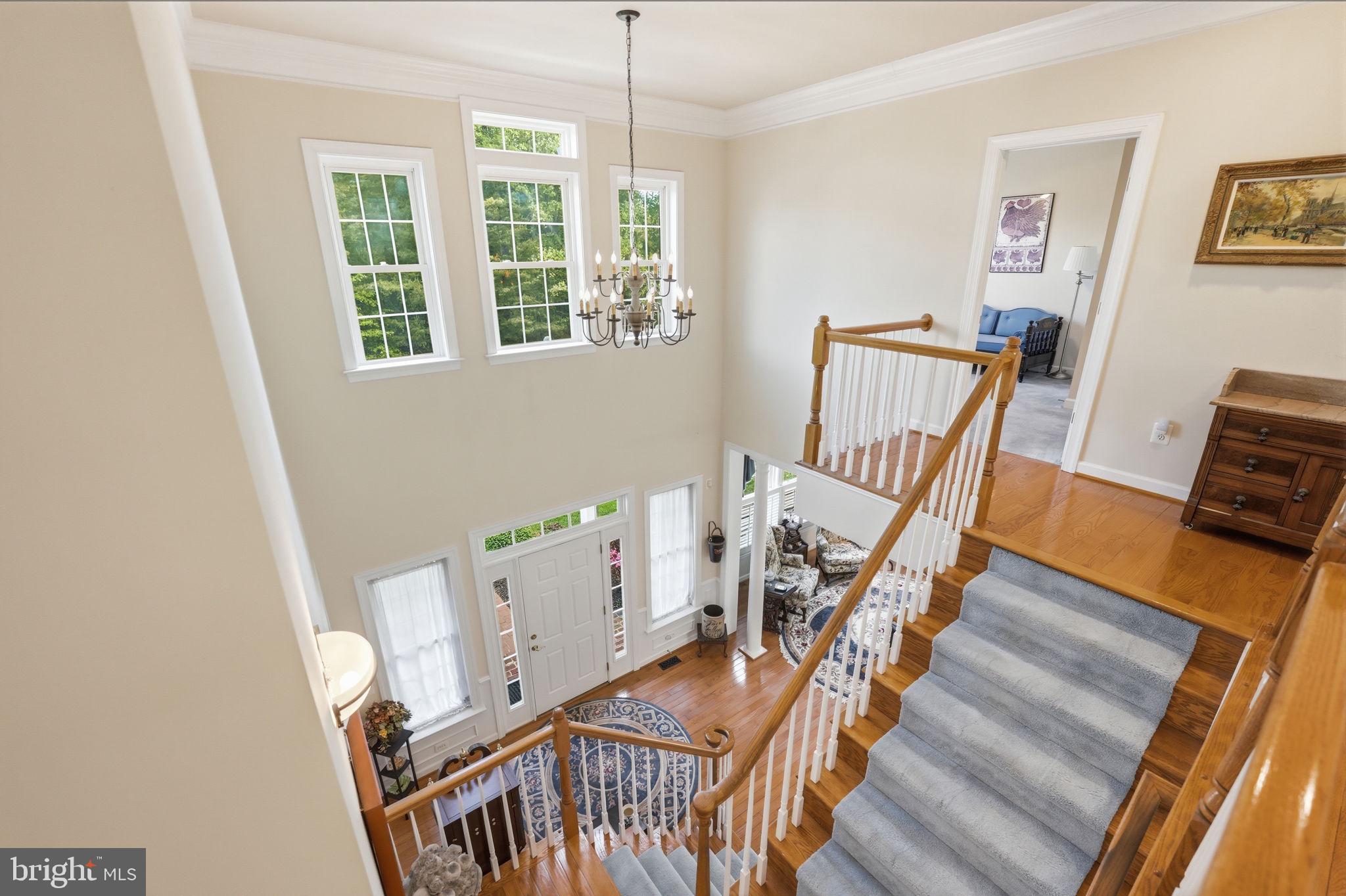 7805 Rose Garden Lane Springfield, VA 22153 - Photo 42 of 86