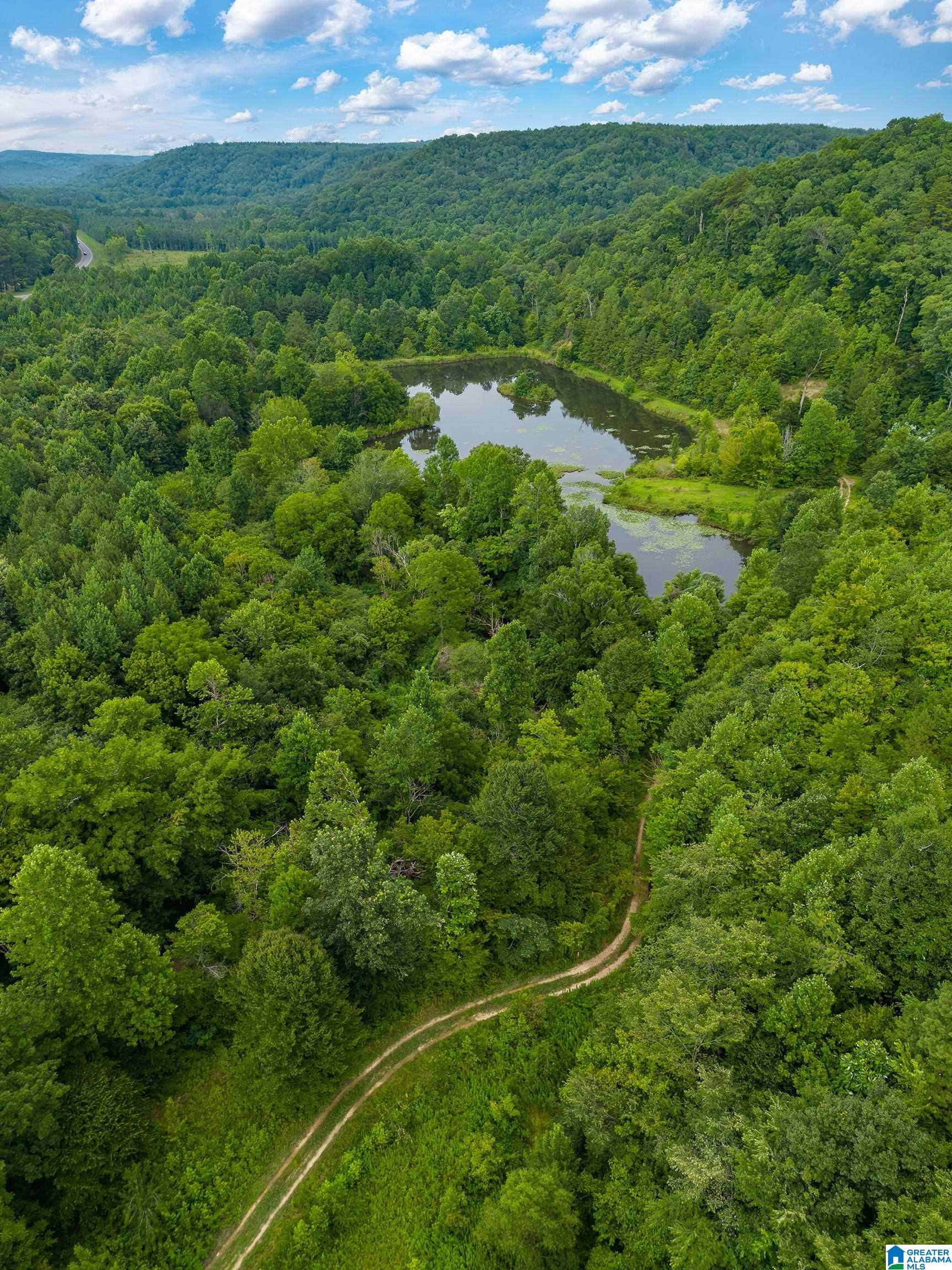 81 Frozen Hollow Road, Unit 32 Carbon Hill, AL 35549 - Photo 42 of 42