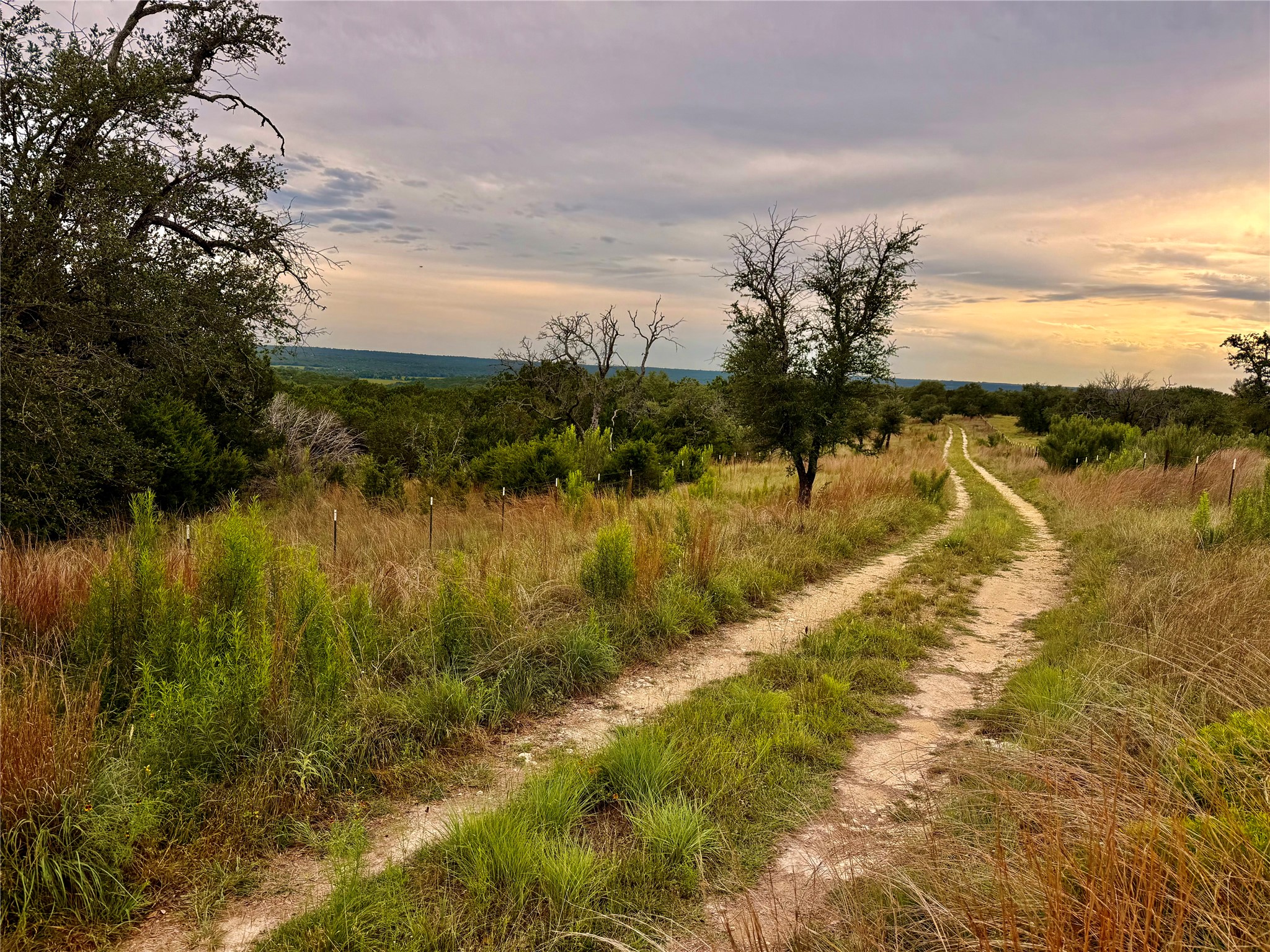 2017 County Road 222 Kempner, TX 76539 - Photo 2 of 16 Expansive acreage featuring a natural dirt track, mature trees, and varied vegetation