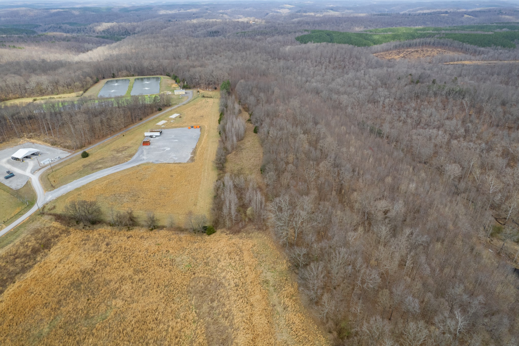 1 Busby Road Loretto, TN 38469 - Photo 7 of 13