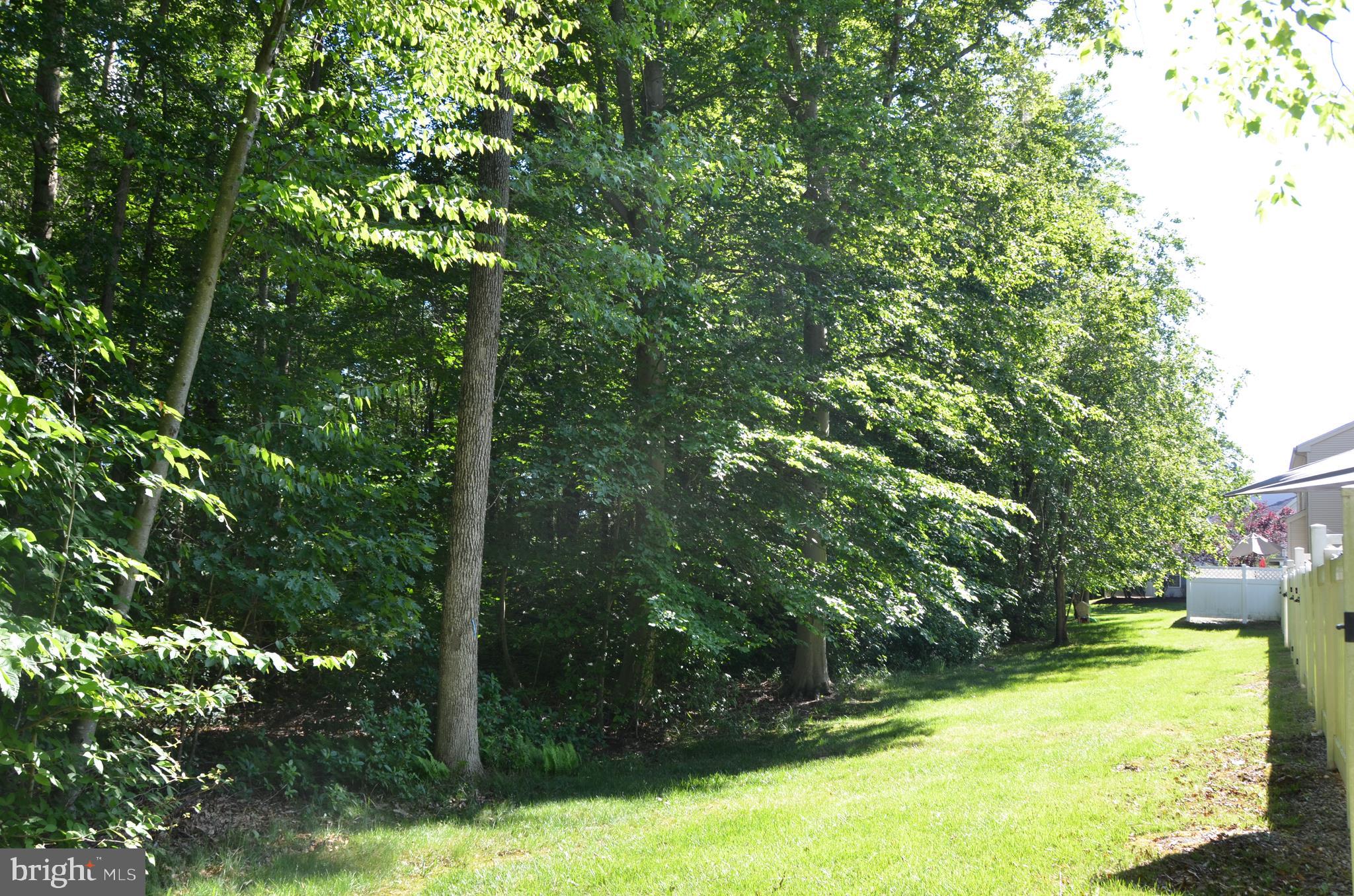 103 Warwick Road Princeton Junction, NJ 08550 - Photo 14 of 21 Gallery Image 14