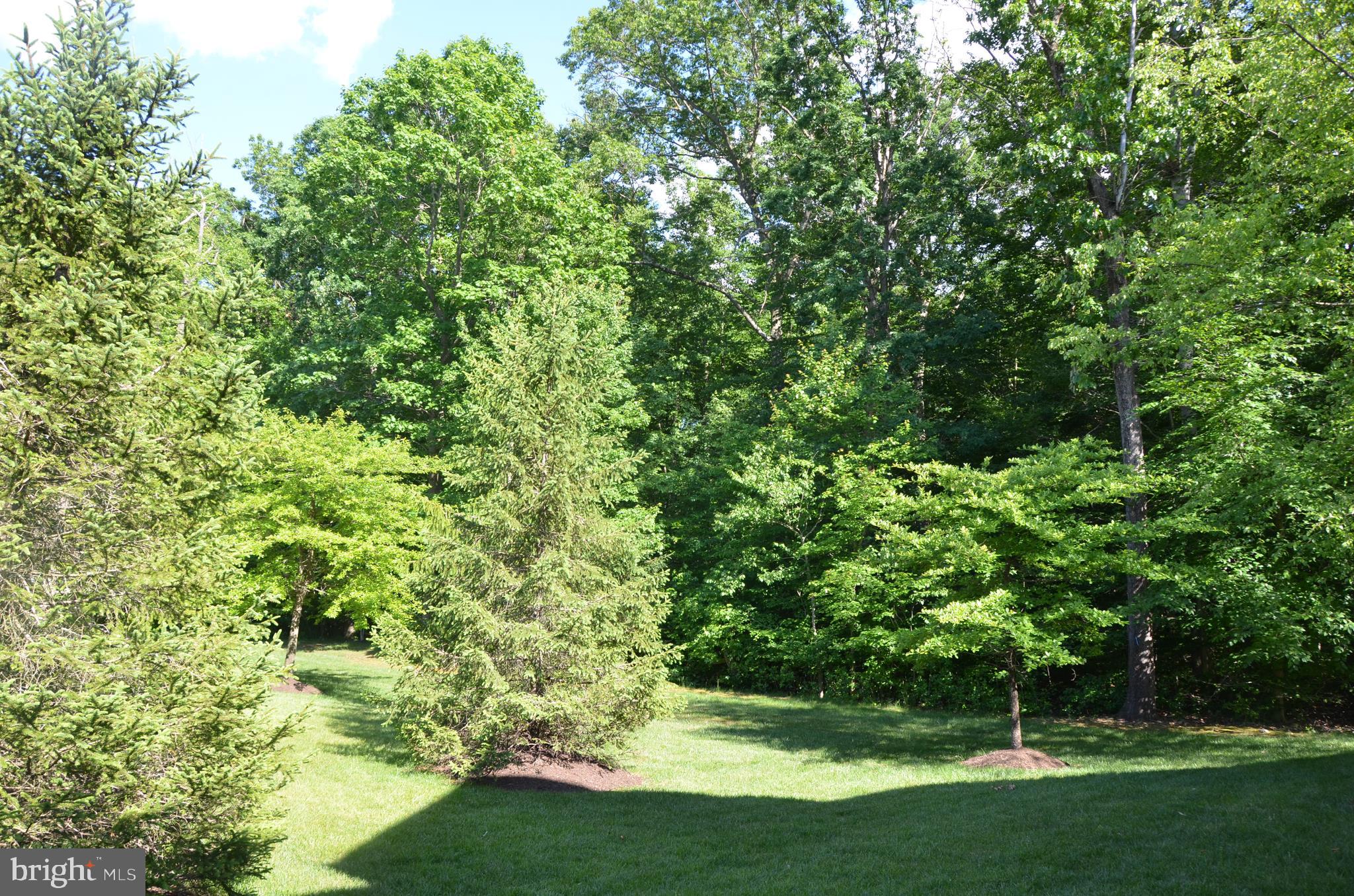 103 Warwick Road Princeton Junction, NJ 08550 - Photo 15 of 21 Gallery Image 15