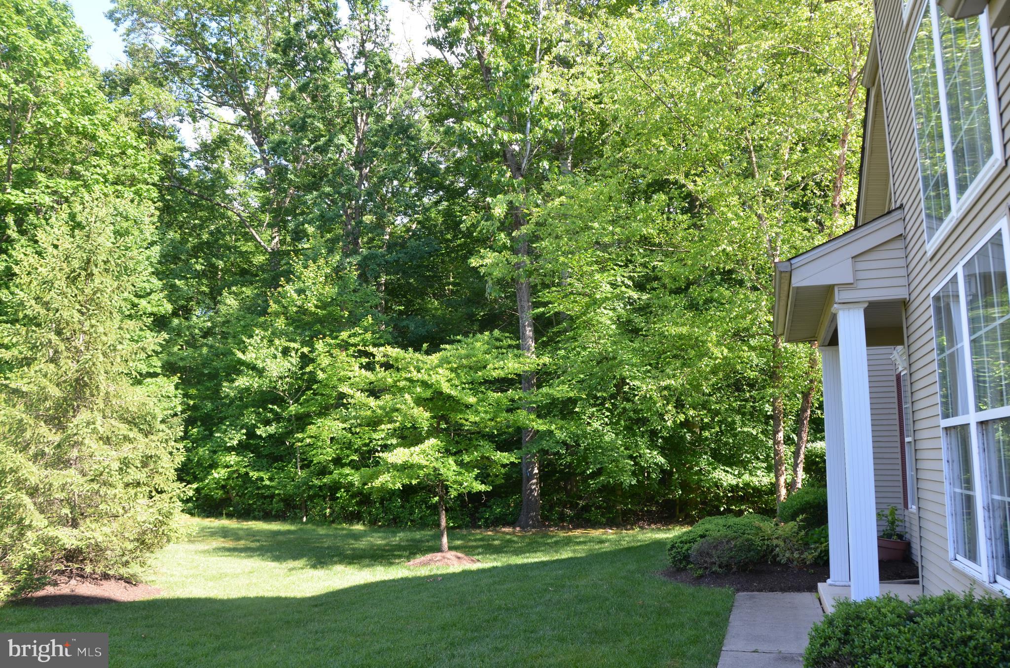 103 Warwick Road Princeton Junction, NJ 08550 - Photo 16 of 21 Gallery Image 16