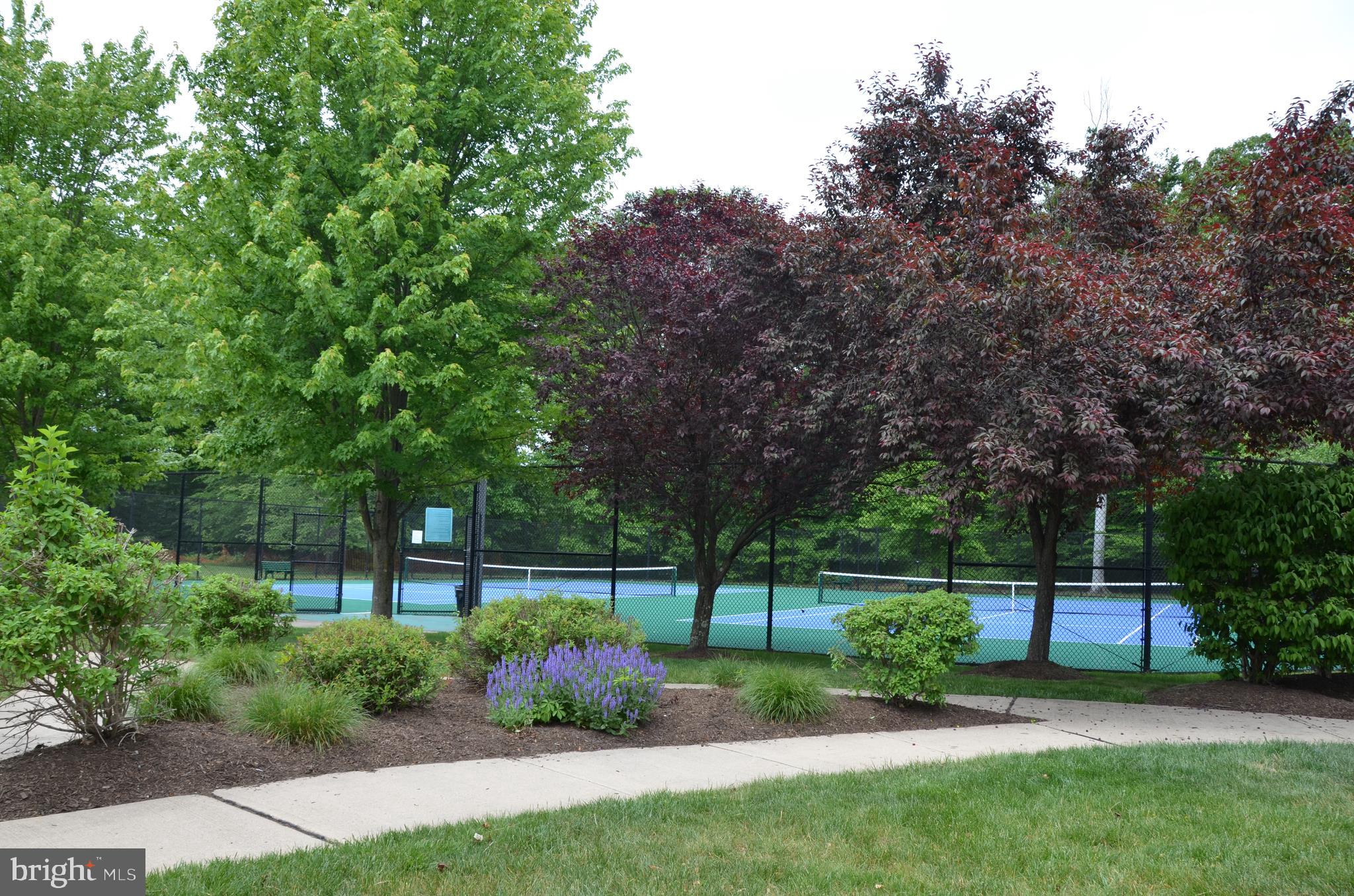 103 Warwick Road Princeton Junction, NJ 08550 - Photo 17 of 21 Gallery Image 17