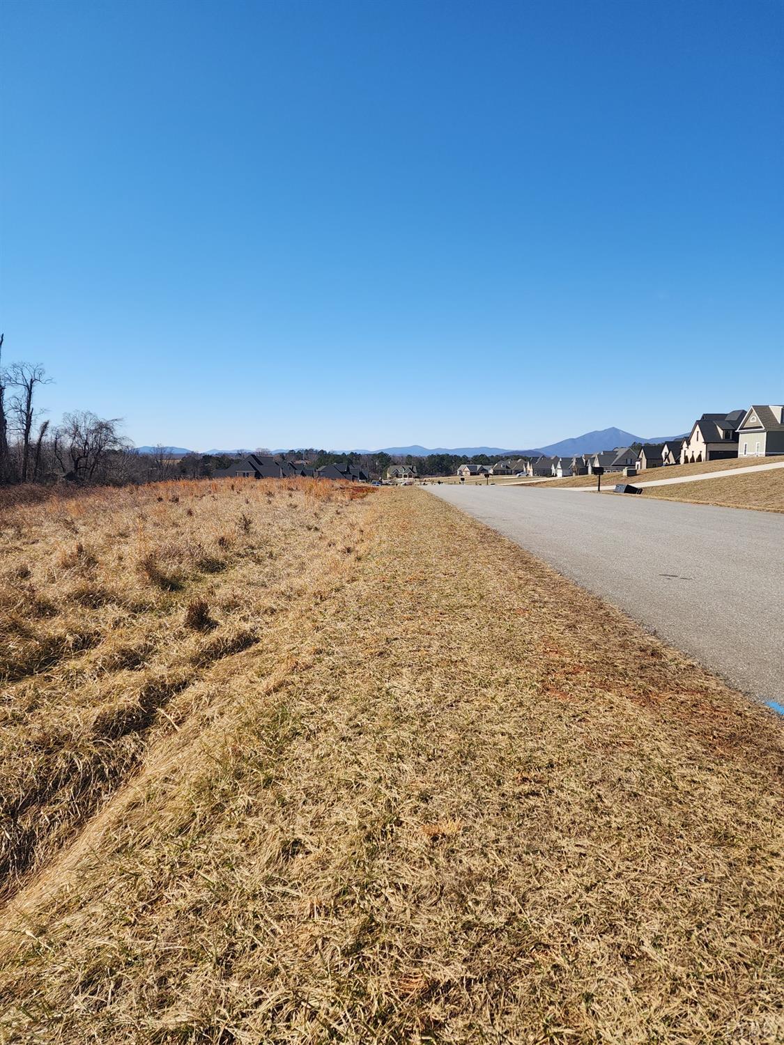-lot 33 Bradford Crossing Road Goode, VA 24556 - Photo 3 of 4