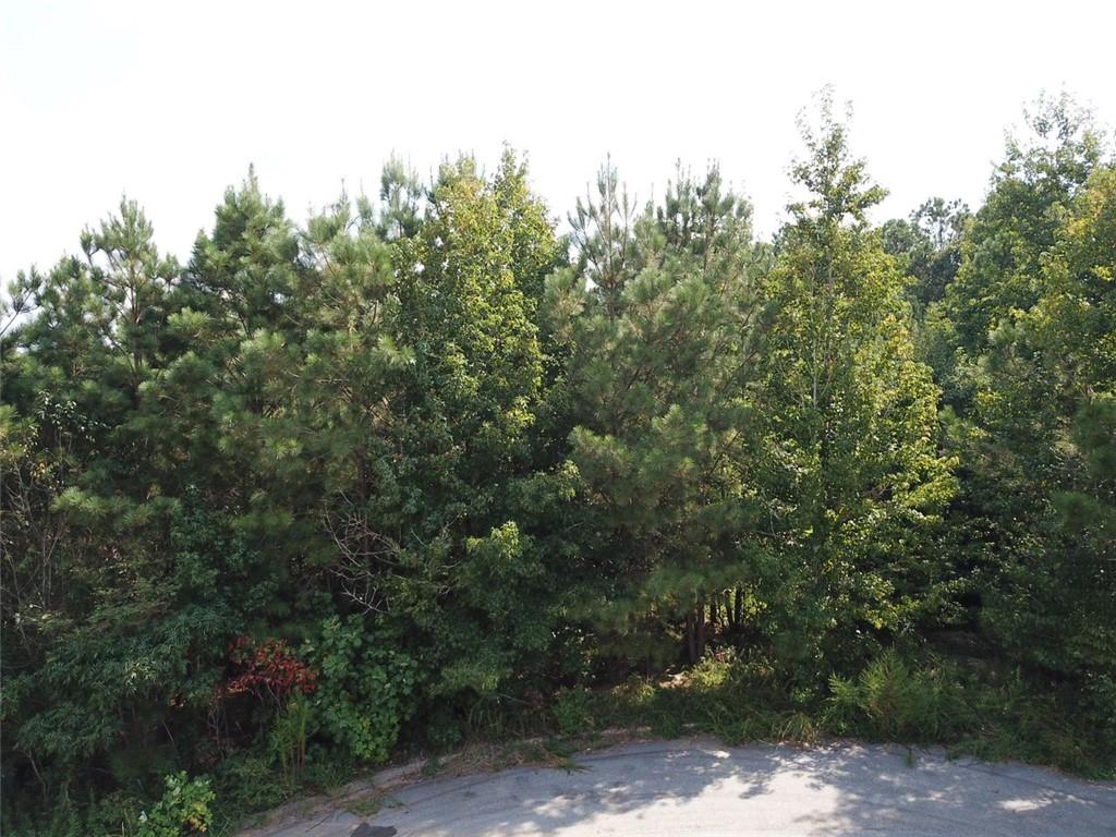 7722 Austin Court Winston, GA 30187 - Photo 2 of 9 a view of a forest with trees in front of it