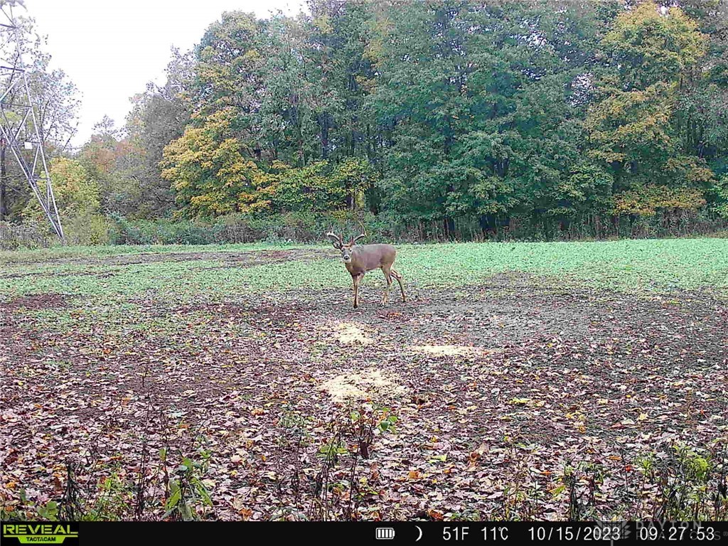 1650 Indian Road Moscow, OH 45153 - Photo 39 of 41 Gallery Image 39