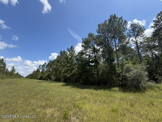 Elmer Hamilton Road Road Moss Point, MS 39562 - Photo 5 of 27 IMG_0741