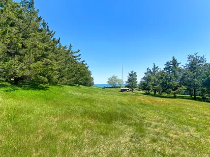 a view of a field with trees in the background