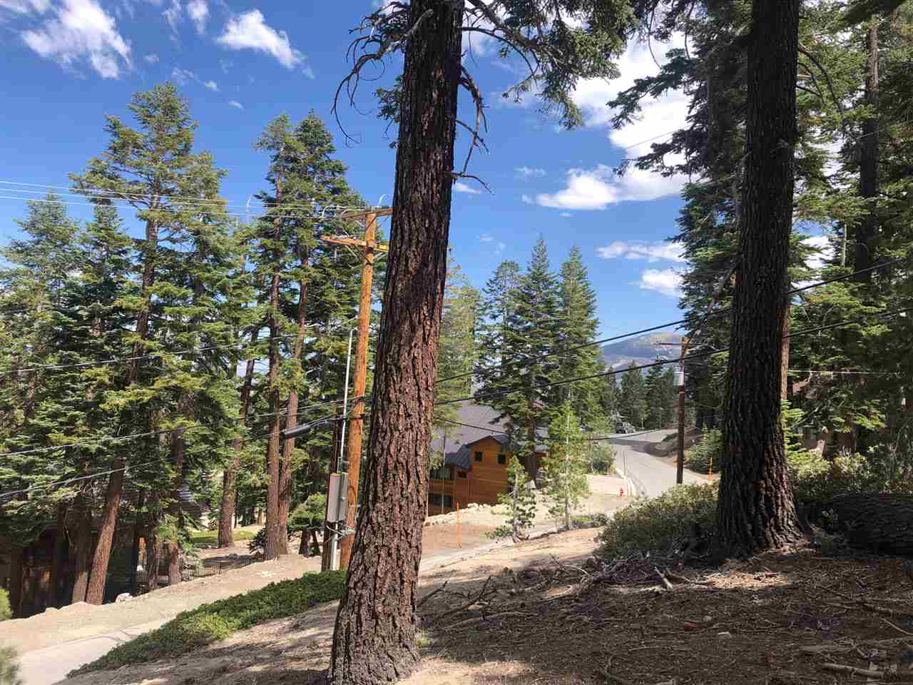 44 John Muir Road Mammoth Lakes, CA 93546 - Photo 1 of 5 a view of a yard with plants and trees