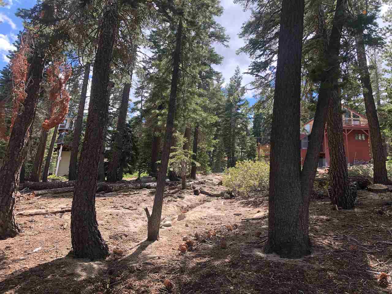 44 John Muir Road Mammoth Lakes, CA 93546 - Photo 3 of 5 a view of a yard with trees