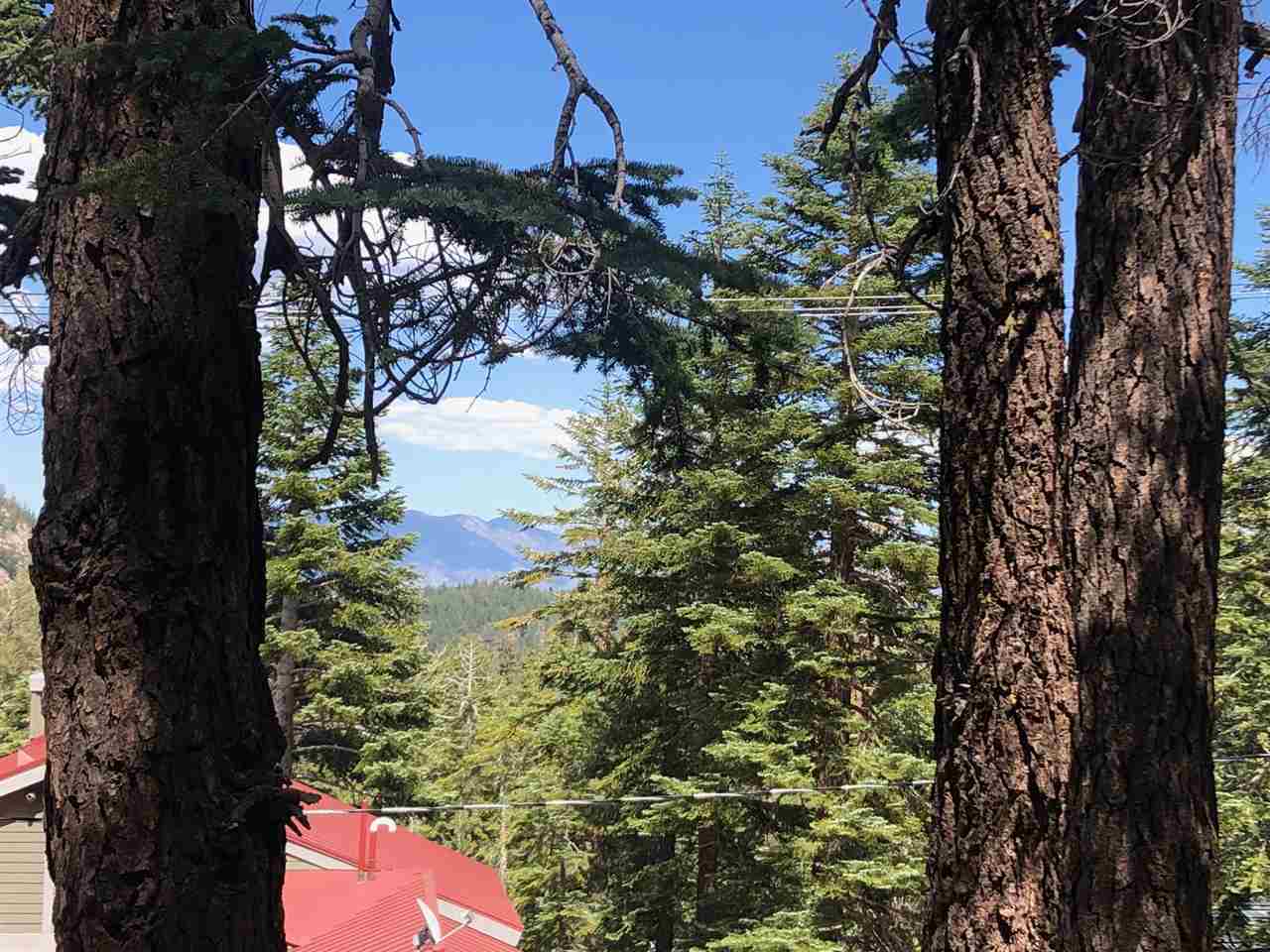 44 John Muir Road Mammoth Lakes, CA 93546 - Photo 5 of 5 a picture of tree