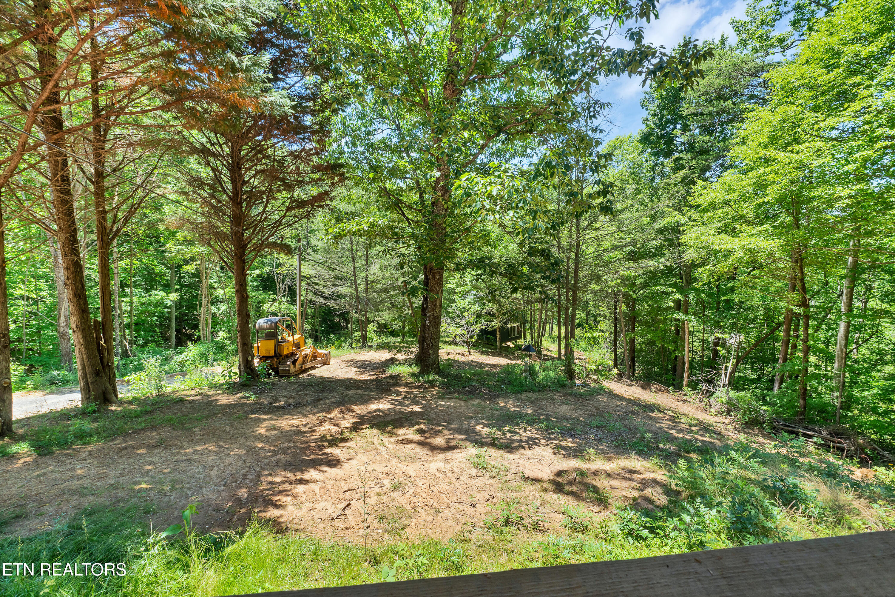 297 Dockery Road Tellico Plains, TN 37385 - Photo 15 of 23 DSC03233-2