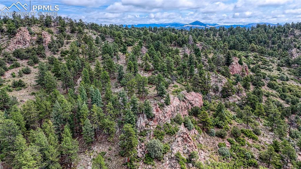62 Cheyenne Road Florissant, CO 80816 - Photo 37 of 50