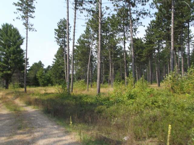 On Boot Lake Road, Unit LOT 10 Eagle River, WI 54521 - Photo 3 of 8 Gallery Image 3