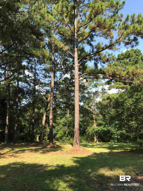 24690 Powell Lane Loxley, AL 36551 - Photo 34 of 39 Back Yard