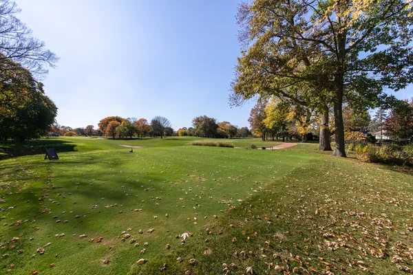 a view of grassy field with trees
